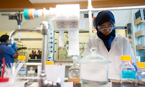 Nurturing Future Innovators: Bachelor of Science in Biotechnology