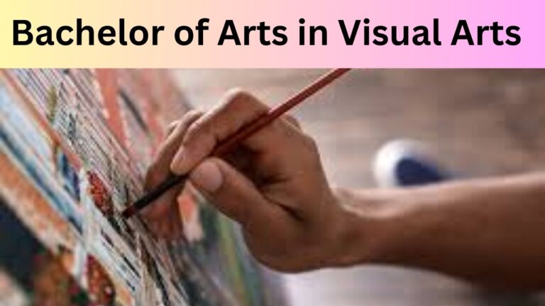 Understanding Visual Culture – Bachelor of Arts in Visual Arts